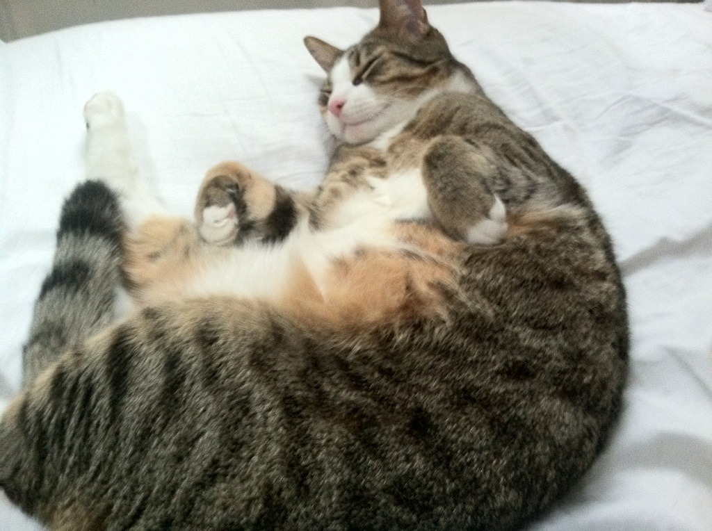 开云电竞app-观众观赛体验区增设互动休闲空间，观众中心